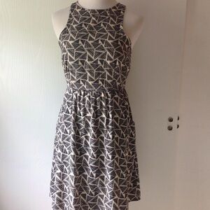 𝅺francesca's collection birdcage label dress